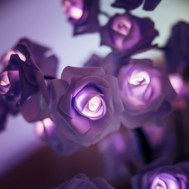 Lámpara de rosa eterna ForeverGlow
