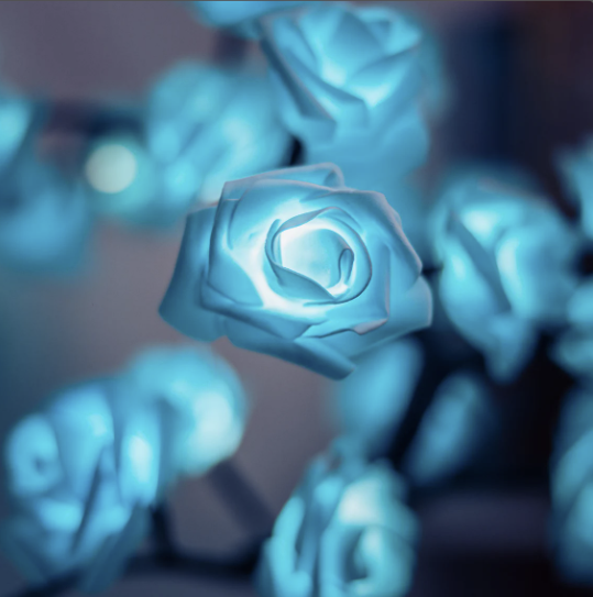 Lámpara de rosa eterna ForeverGlow